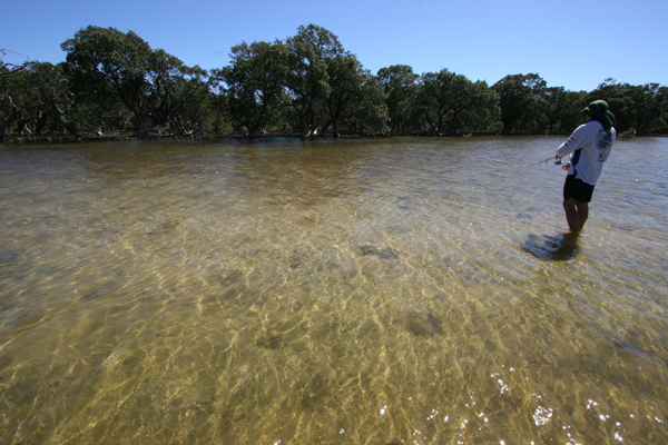 Desalination plants pollute fisheries, says expert